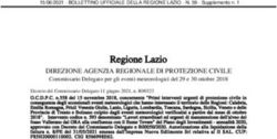 Regione Lazio DIREZIONE AGENZIA REGIONALE DI PROTEZIONE CIVILE