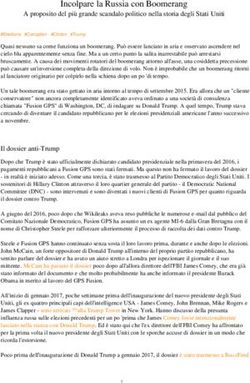 Incolpare la Russia con Boomerang - A proposito del pi&ugrave; grande scandalo politico nella storia degli Stati Uniti - Shine24 News
