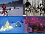 LAPLAND EXPERIENCE Tour in Lapponia e Helsinki 05 Marzo - 10 Marzo 2020 - The Travel Family