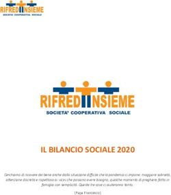 IL BILANCIO SOCIALE 2020 - Rifredi Insieme Soc. Coop. Soc.