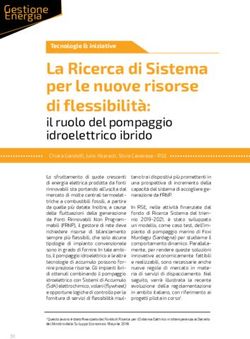 La Ricerca di Sistema per le nuove risorse di flessibilità