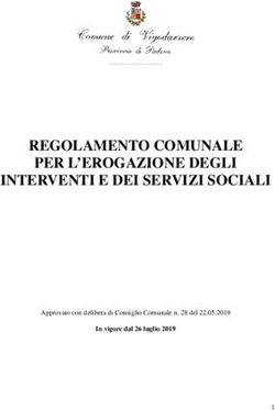 REGOLAMENTO COMUNALE PER L'EROGAZIONE DEGLI INTERVENTI E DEI SERVIZI SOCIALI - In vigore dal 26 luglio 2019 - AWS