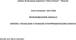 PROGRAMMAZIONE ANNUALE MATERIA: TECNOLOGIE E TECNICHE DI RAPPRESENTAZIONE GRAFICA - Istituto di Istruzione Superiore "Arturo Prever" - Pinerolo ...