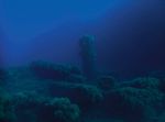 L'Eden sommerso nel mare di Ustica