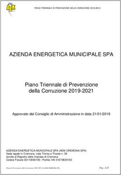AZIENDA ENERGETICA MUNICIPALE SPA - Piano Triennale di Prevenzione della Corruzione 2019-2021