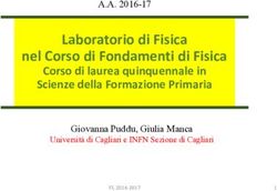 Laboratorio di Fisica nel Corso di Fondamenti di Fisica - Corso di laurea quinquennale in Scienze della Formazione Primaria - INFN