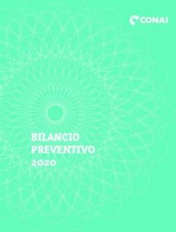 BILANCIO PREVENTIVO 2020 - Conai