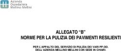 ALLEGATO "B" NORME PER LA PULIZIA DEI PAVIMENTI RESILIENTI - PER L'APPALTO DEL SERVIZIO DI PULIZIA DEI VARI PP.OO. DELL'AZIENDA MELLINO MELLINI ...