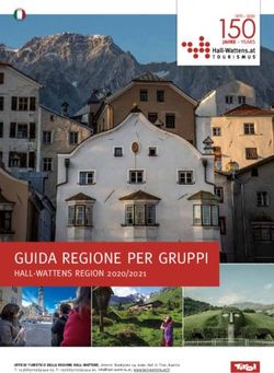 GUIDA REGIONE PER GRUPPI - HALL-WATTENS REGION 2020/2021 - Hall Wattens