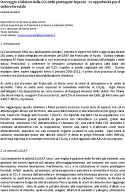 Stoccaggio e bilancio della CO2 delle piantagioni legnose. Le opportunit&agrave; per il settore forestale