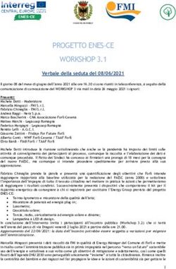 PROGETTO ENES-CE WORKSHOP 3.1 - Verbale della seduta del 08/06/2021 - FMI