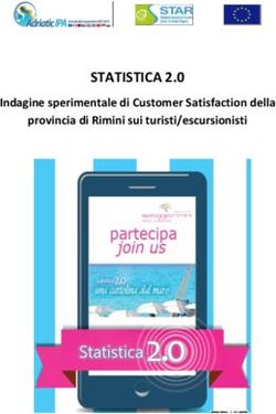 STATISTICA 2.0 Indagine sperimentale di Customer Satisfaction della provincia di Rimini sui turisti/escursionisti