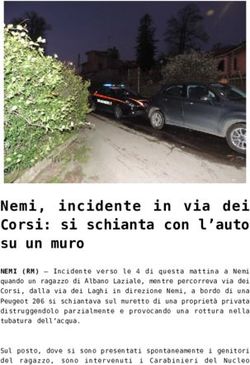 Nemi, incidente in via dei Corsi: si schianta con l'auto su un muro - L'Osservatore d'Italia