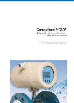 Convertitore MC608 Manuale di installazione Vers. 6.0 e successive - BM Tecnologie Industriali
