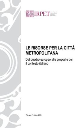 LE RISORSE PER LA CITT&Agrave; METROPOLITANA - Dal quadro europeo alle proposte per il contesto italiano - IRPET
