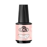 GELGUIDE FOR PROFESSIONALS - LCN Beauty Concepts