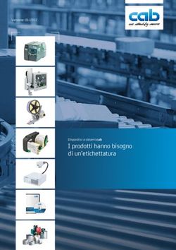 I prodotti hanno bisogno di un'etichettatura - Dispositivi e sistemi cab - Versione: 01/2022 - cab Produkttechnik