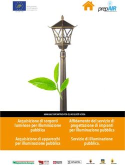 Acquisizione di sorgenti luminose per illuminazione - Regione Emilia-Romagna ...