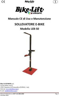 SOLLEVATORE E-BIKE Manuale CE di Uso e Manutenzione