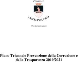 Piano Triennale Prevenzione della Corruzione e della Trasparenza 2019/2021
