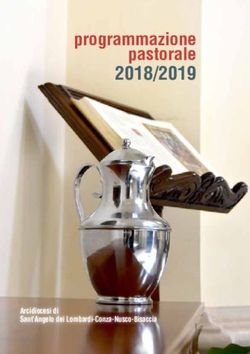 PROGRAMMAZIONE PASTORALE 2018/2019 - Arcidiocesi di Sant'Angelo dei Lombardi-Conza-Nusco-Bisaccia - Diocesi di Sant ...