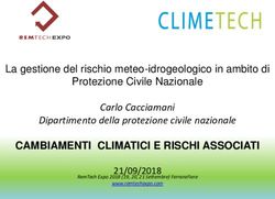 CAMBIAMENTI CLIMATICI E RISCHI ASSOCIATI - Carlo Cacciamani Dipartimento della protezione civile nazionale - RemTech Expo