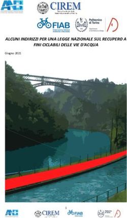 ALCUNI INDIRIZZI PER UNA LEGGE NAZIONALE SUL RECUPERO A FINI CICLABILI DELLE VIE D'ACQUA