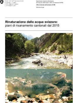 Rinaturazione delle acque svizzere: piani di risanamento cantonali dal 2015