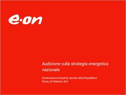 Audizione sulla strategia energetica nazionale - Commissione Industria, Senato della Repubblica Roma, 23 febbraio 2011