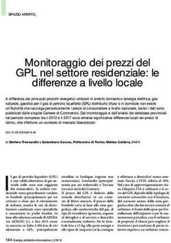 Monitoraggio dei prezzi del GPL nel settore residenziale: le differenze a livello locale - ENEA