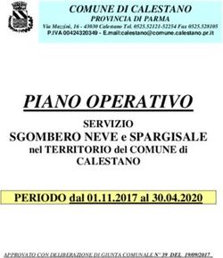 PIANO OPERATIVO - Comune di Calestano