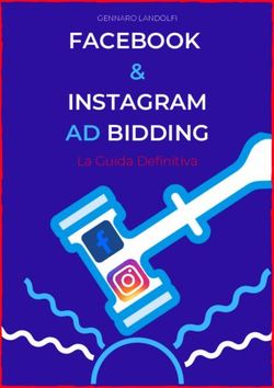 FACEBOOK INSTAGRAM AD BIDDING - La Guida Definitiva & - Gennaro Landolfi