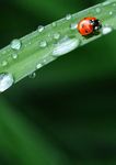 Catalogo 2020 prodotti per l'agricoltura a residualit&agrave; zero - Bio Alt