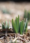 Catalogo 2020 prodotti per l'agricoltura a residualit&agrave; zero - Bio Alt