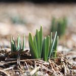 Catalogo 2020 prodotti per l'agricoltura a residualit&agrave; zero - Bio Alt