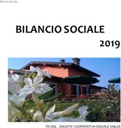 BILANCIO SOCIALE 2019 - PA.SOL. SOCIETA' COOPERATIVA SOCIALE ONLUS