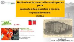 Rischi e danni da lavoro nella raccolta porta a porta. L'apparato osteo-muscolare e non solo. Le possibili soluzioni - Luca Galinotti e-mail: ...