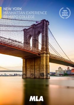 NEW YORK MANHATTAN EXPERIENCE RAMAPO COLLEGE - MLA