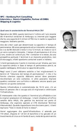 HPC - Hamburg Port Consulting Intervista a Dennis K&ouml;geb&ouml;hn, Partner di EMBA Shipping & Logistics