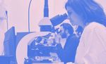 Diversit&agrave; &egrave; Eccellenza - Bilancio di Genere 2020 Politecnico di Torino PROGETTO REALIZZATO DAL POLITECNICO DI TORINO IN TEMA DI PARI OPPORTUNIT&Agrave; ...