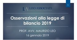 Osservazioni alla legge di bilancio 2019 - PROF. AVV. MAURIZIO LEO 16 gennaio 2019