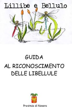 GUIDA AL RICONOSCIMENTO DELLE LIBELLULE - Provincia di Novara - ODONATA.IT