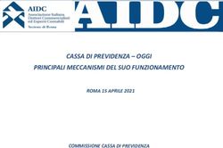 CASSA DI PREVIDENZA - OGGI PRINCIPALI MECCANISMI DEL SUO FUNZIONAMENTO - ROMA 15 APRILE 2021 COMMISSIONE CASSA DI PREVIDENZA - AIDC