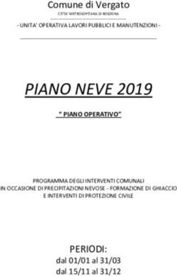 PIANO NEVE 2019 Comune di Vergato