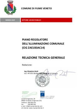 RELAZIONE TECNICA GENERALE - PIANO REGOLATORE DELL'ILLUMINAZIONE COMUNALE (CIG ZAE1B3AC14) - Comune di Fiume Veneto