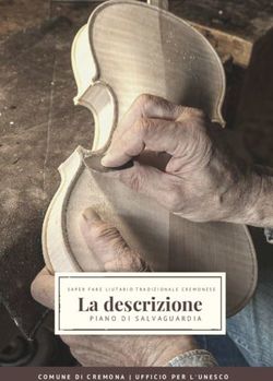 La descrizione PIANO DI SALVAGUARDIA - COMUNE DI CREMONA | UFFICIO PER L'UNESCO