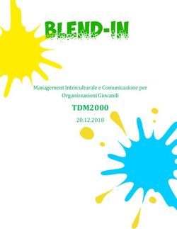TDM2000 Management Interculturale e Comunicazione per Organizzazioni Giovanili 20.12.2018 - Blend-In
