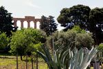 TOUR DI GRUPPO DAL 18 AL 25 SETTEMBRE - Da Catania a Palermo immersi nella storia e nel mito greco ammirando le bellezze naturalistiche ...