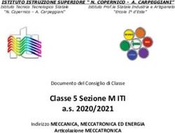 Classe 5 Sezione M ITI - Documento del Consiglio di Classe