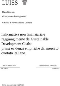 Informativa non finanziaria e raggiungimento dei Sustainable Development Goals: prime evidenze empiriche dal mercato quotato italiano.